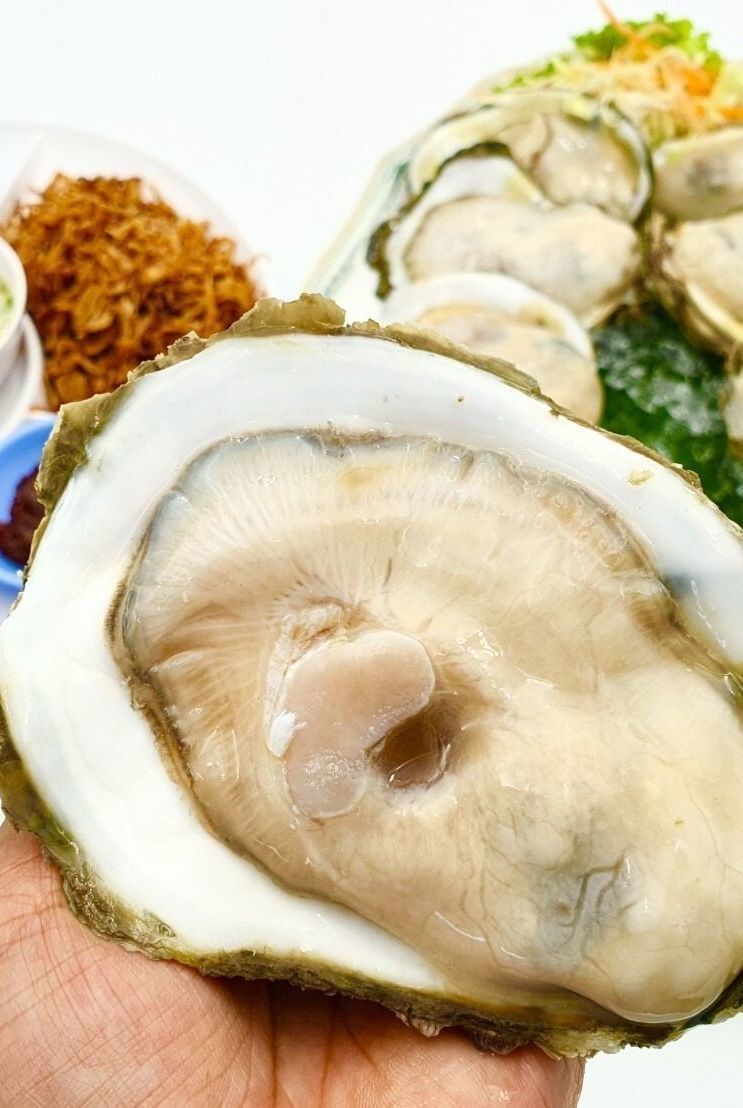 ดูเมนูอาหาร https://bit.ly/39u7NAL

รีวิวหอยนางรมสด หอยนางรมทรงเครื่อง หอยนางรมสุราษฏร์ธษนี